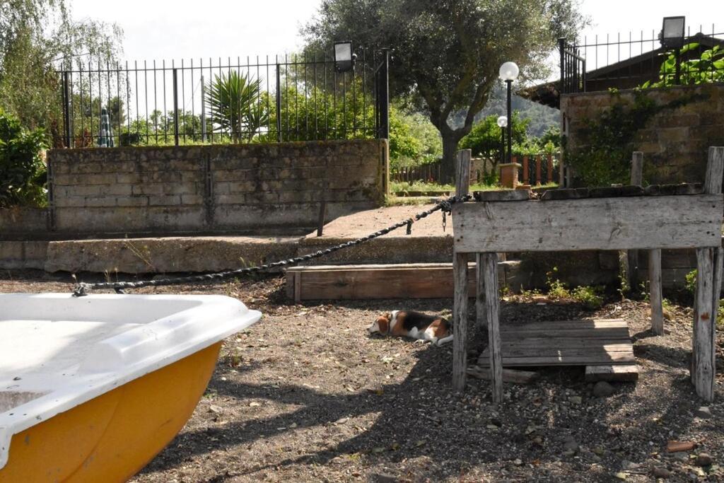 Independent Villa With Private Beach On The Lake Bracciano  Exterior foto